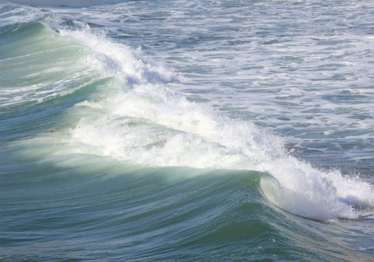 hasegawayumi_26_jan_img_20